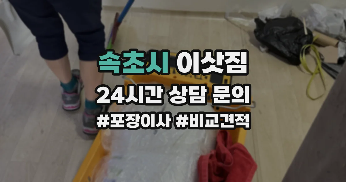 속초시 이삿짐