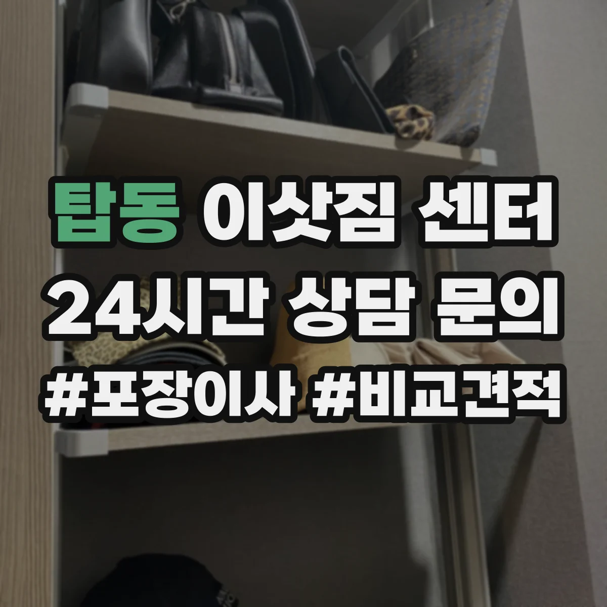 탑동 이삿짐 센터