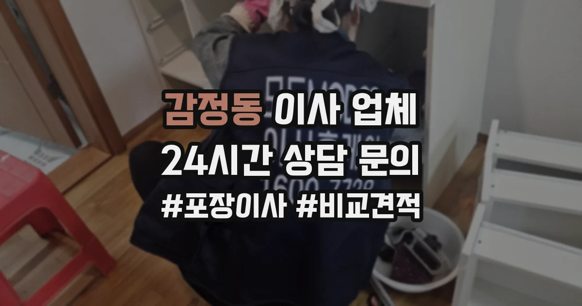 감정동 이사 업체
