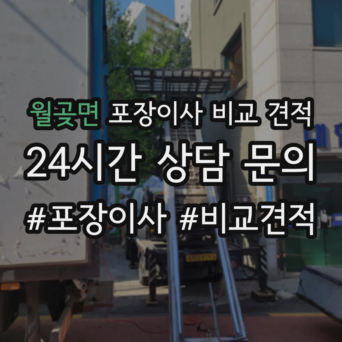 월곶면 포장이사 비교 견적