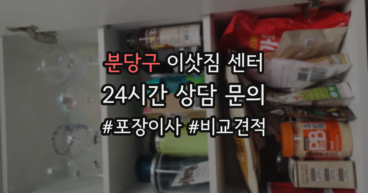 분당구 이삿짐 센터
