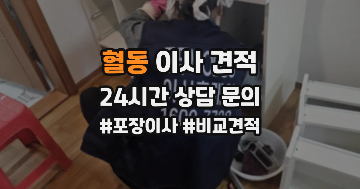 혈동 이사 견적