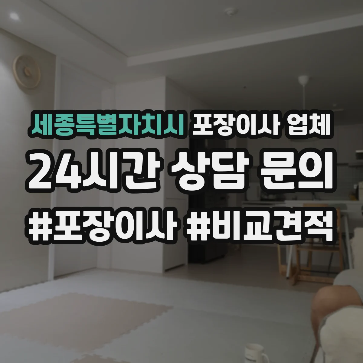 세종특별자치시 포장이사 업체