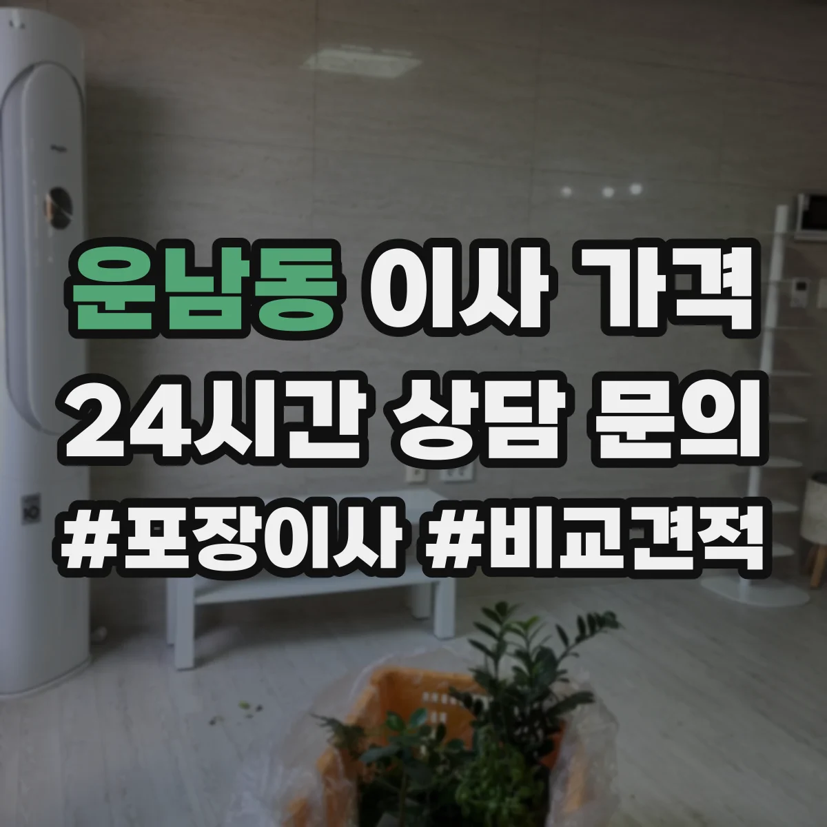 운남동 이사 가격