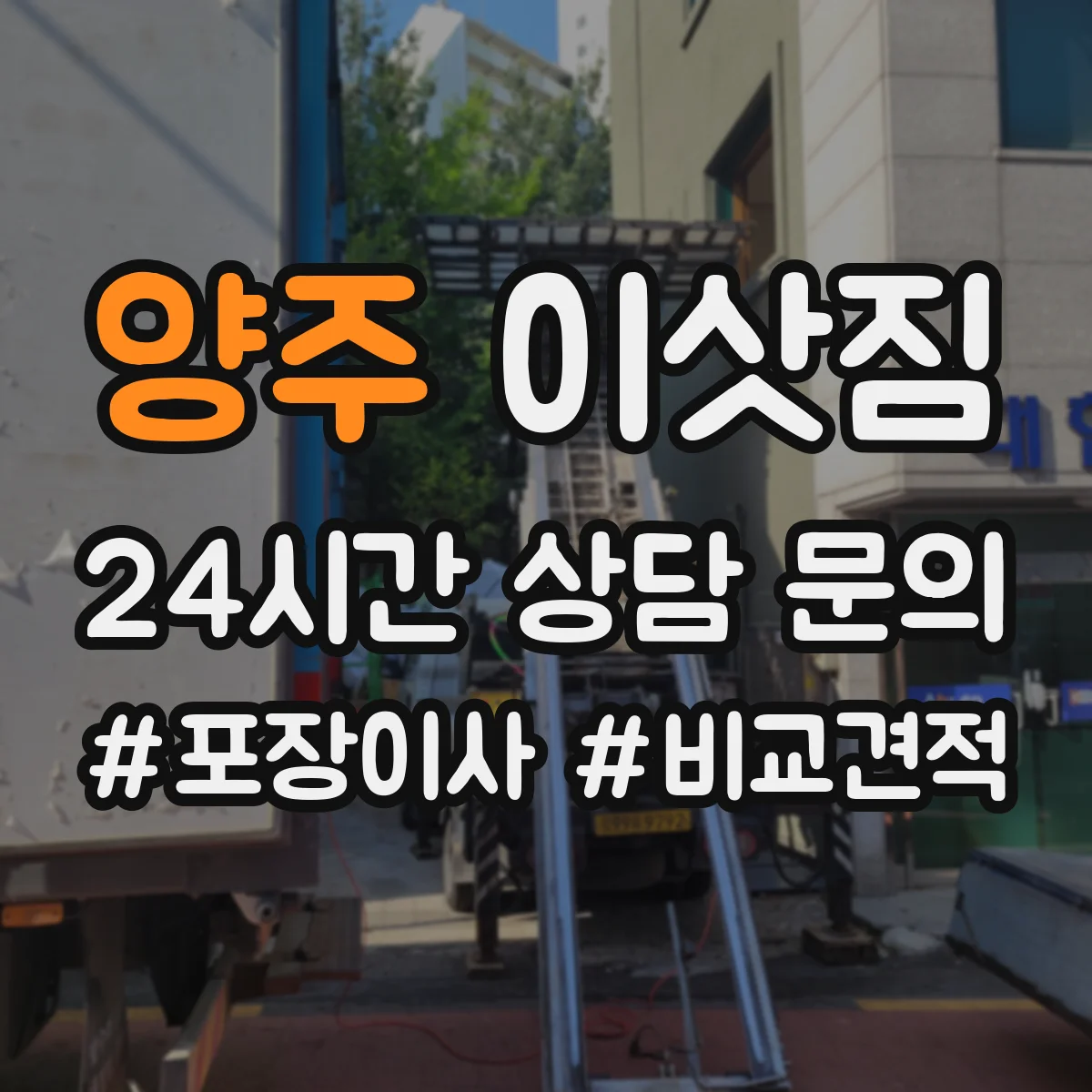 양주 이삿짐