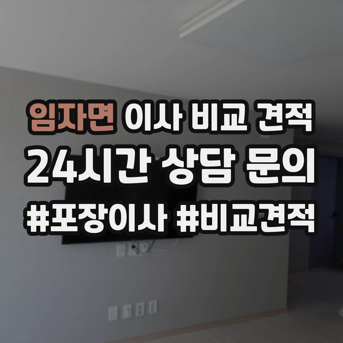 임자면 이사 비교 견적
