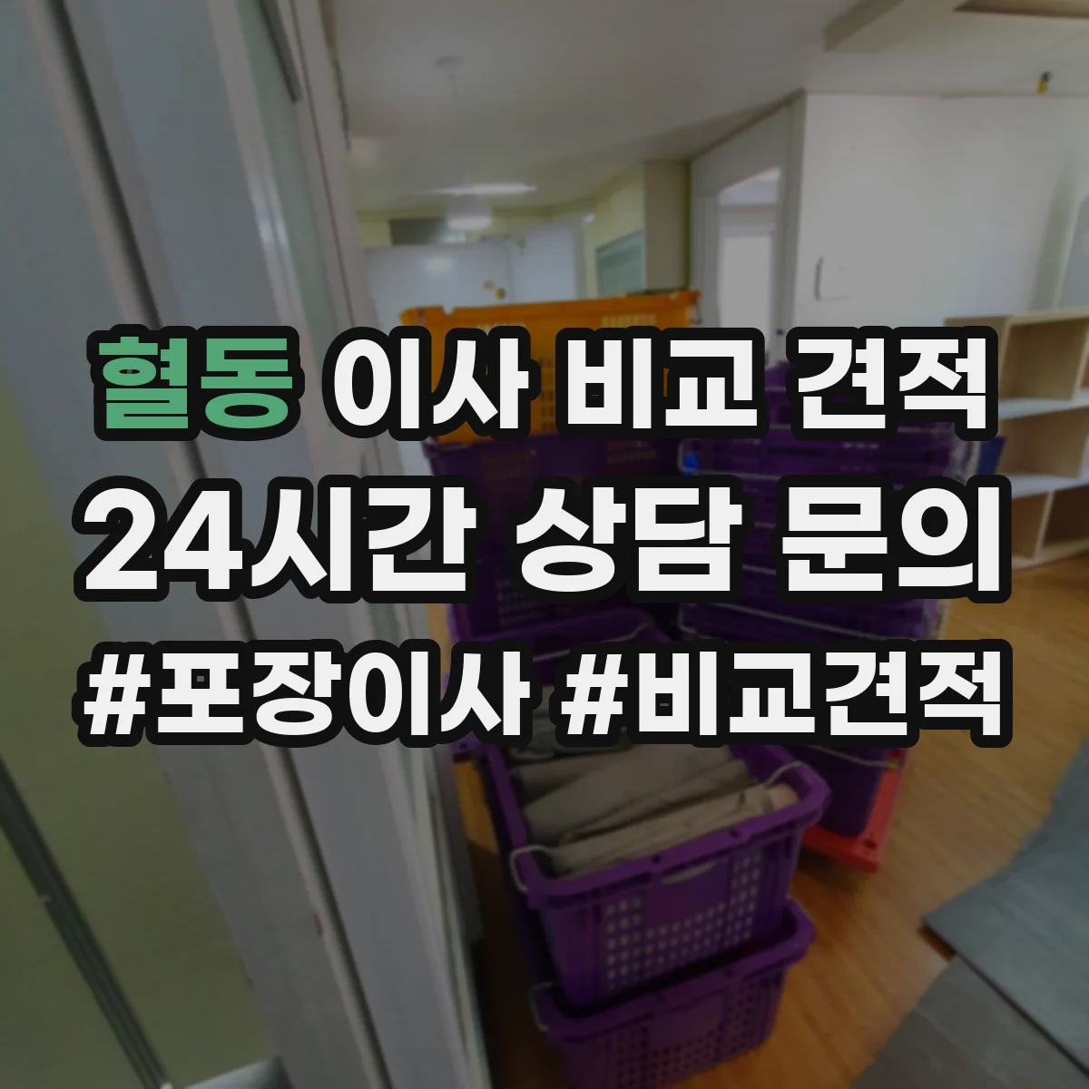 혈동 이사 비교 견적