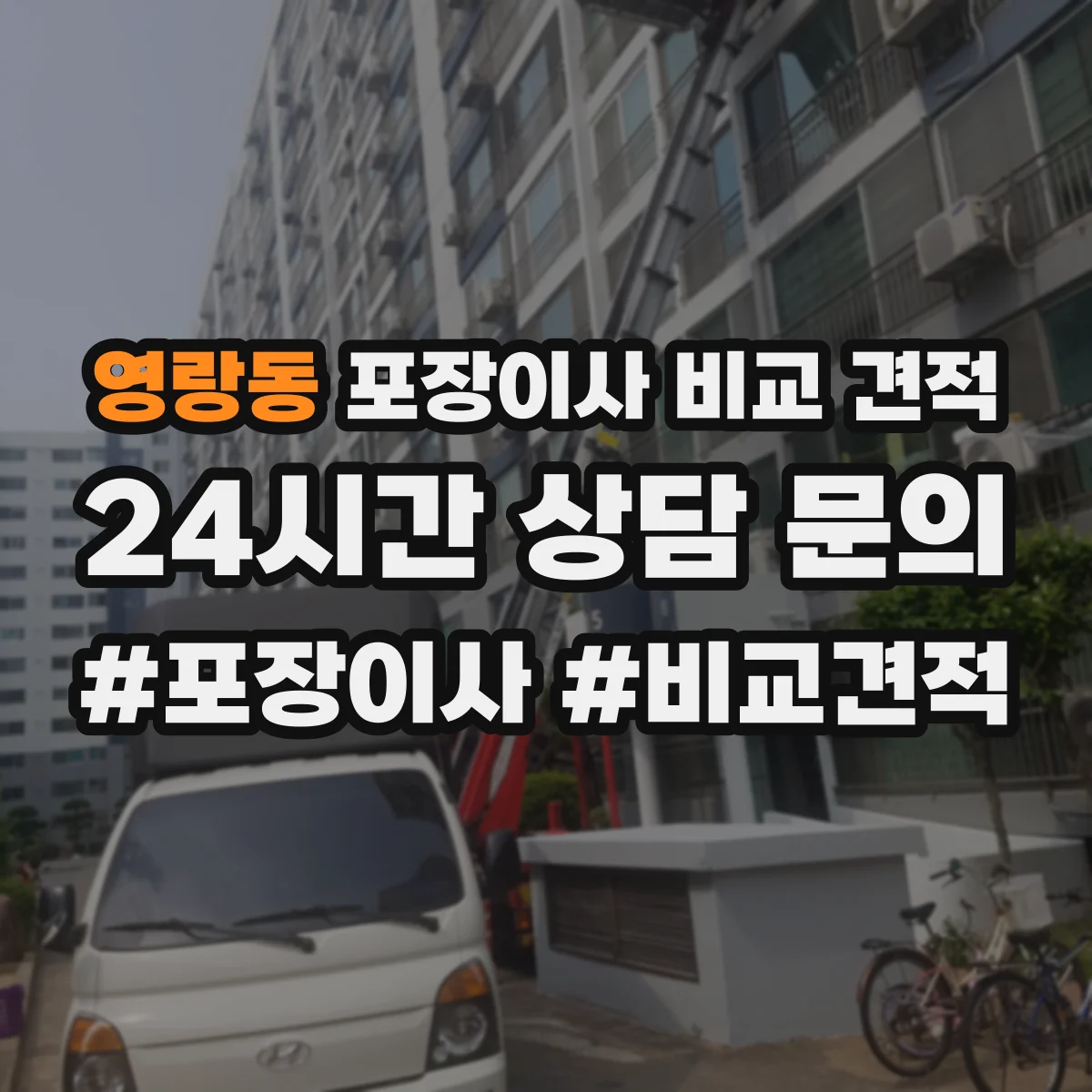 영랑동 포장이사 비교 견적