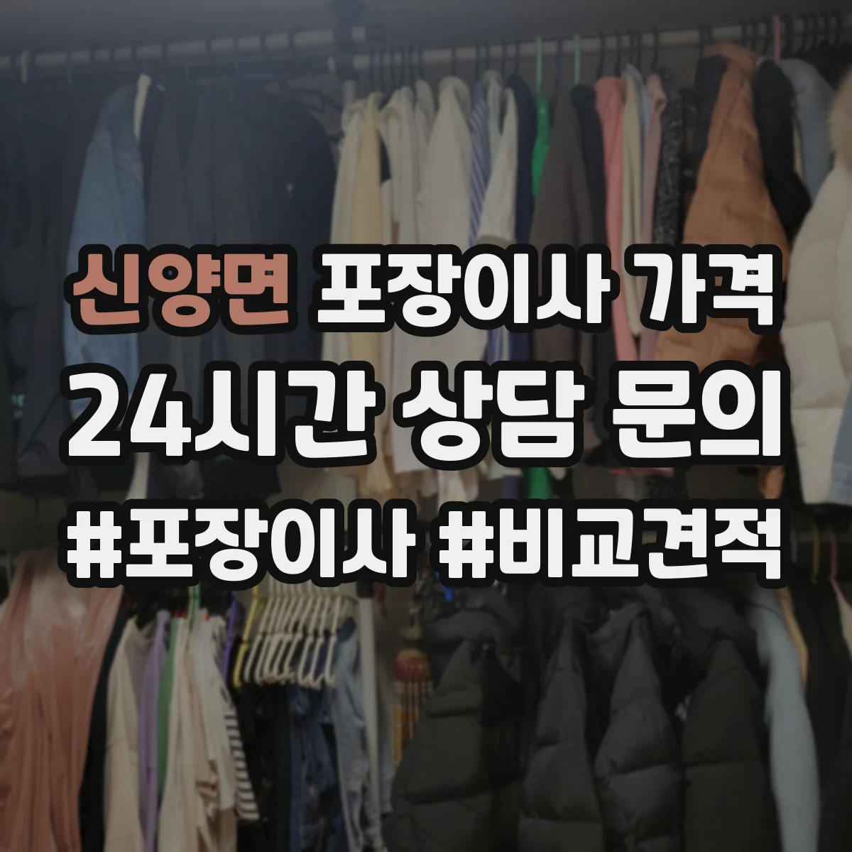 신양면 포장이사 가격