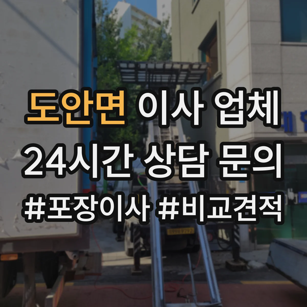 도안면 이사 업체