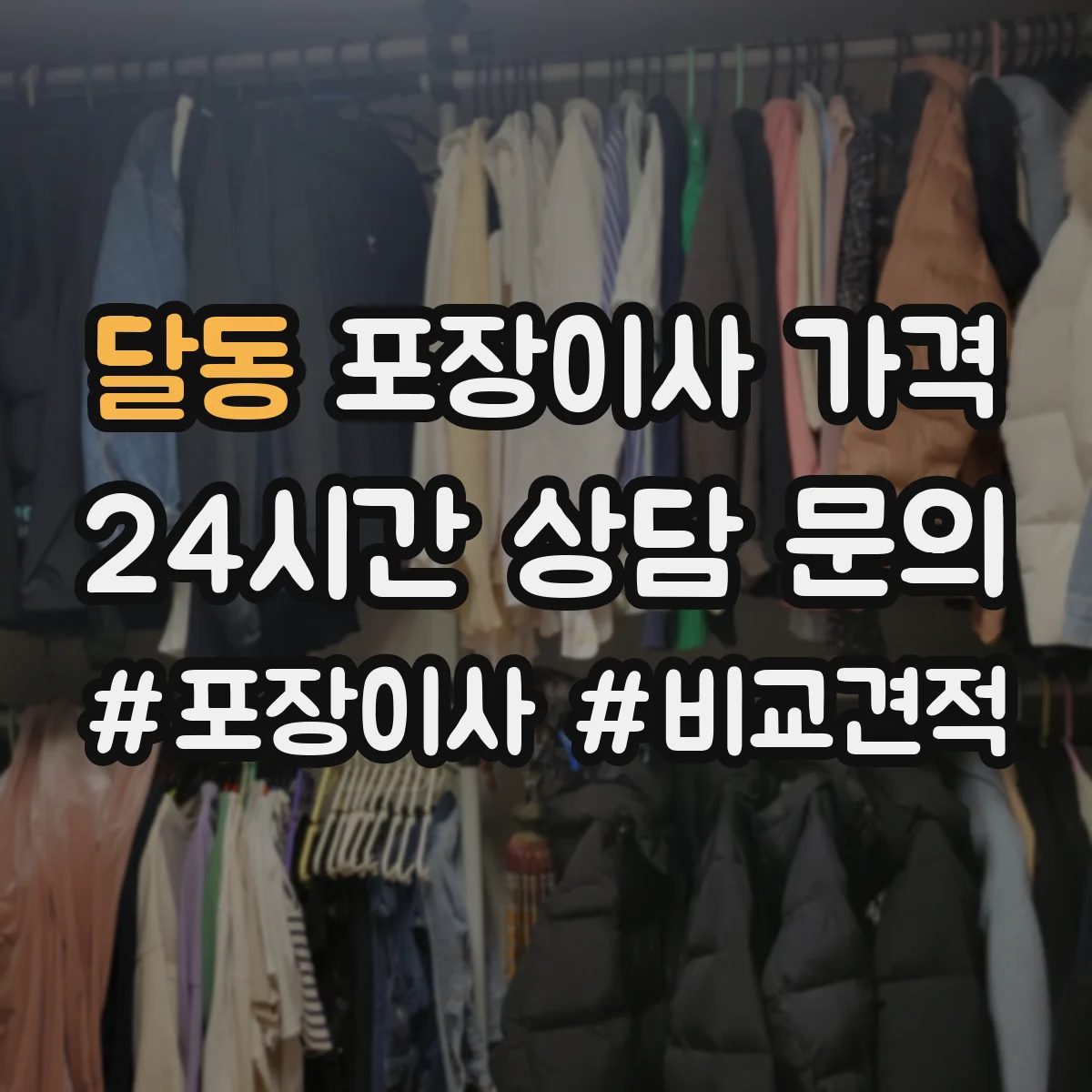 달동 포장이사 가격