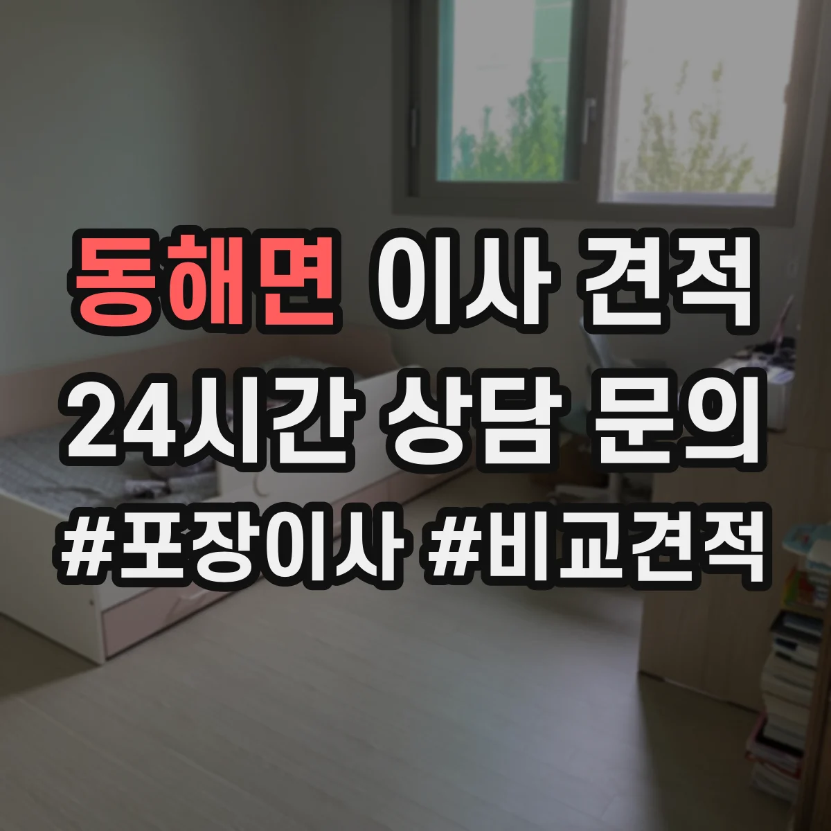 동해면 이사 견적
