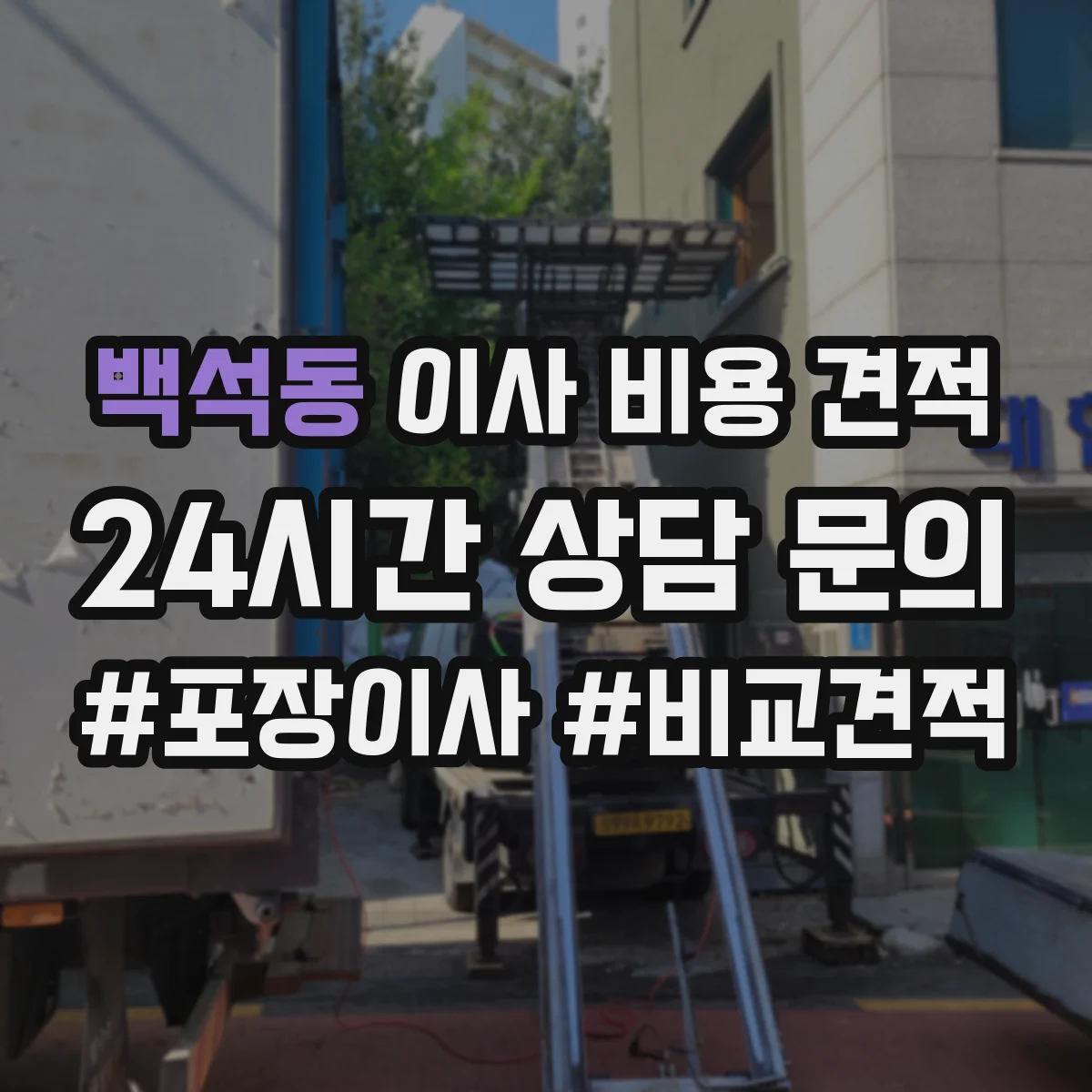 백석동 이사 비용 견적