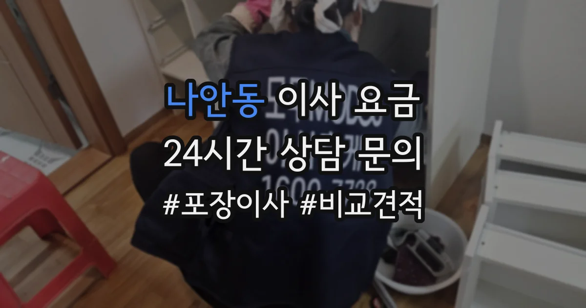 나안동 이사 요금