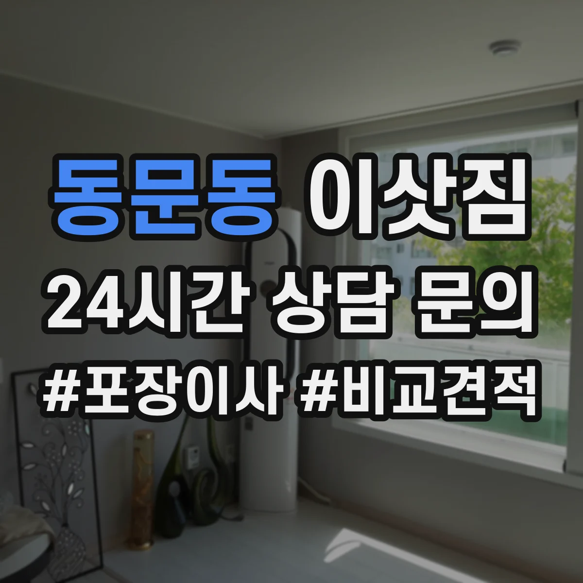 동문동 이삿짐