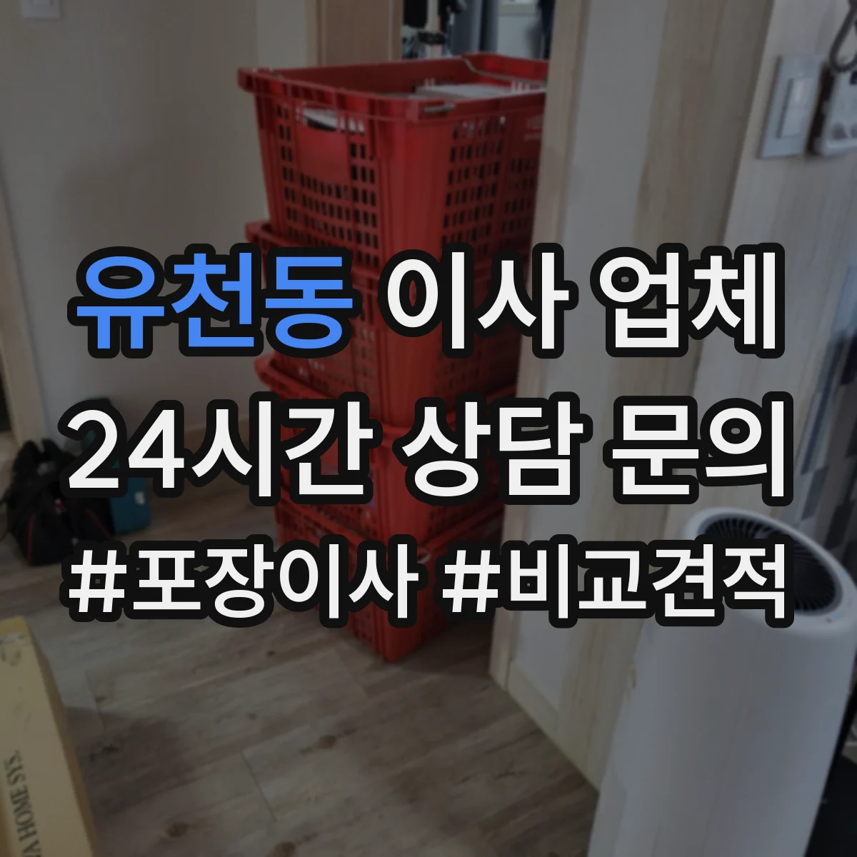 유천동 이사 업체