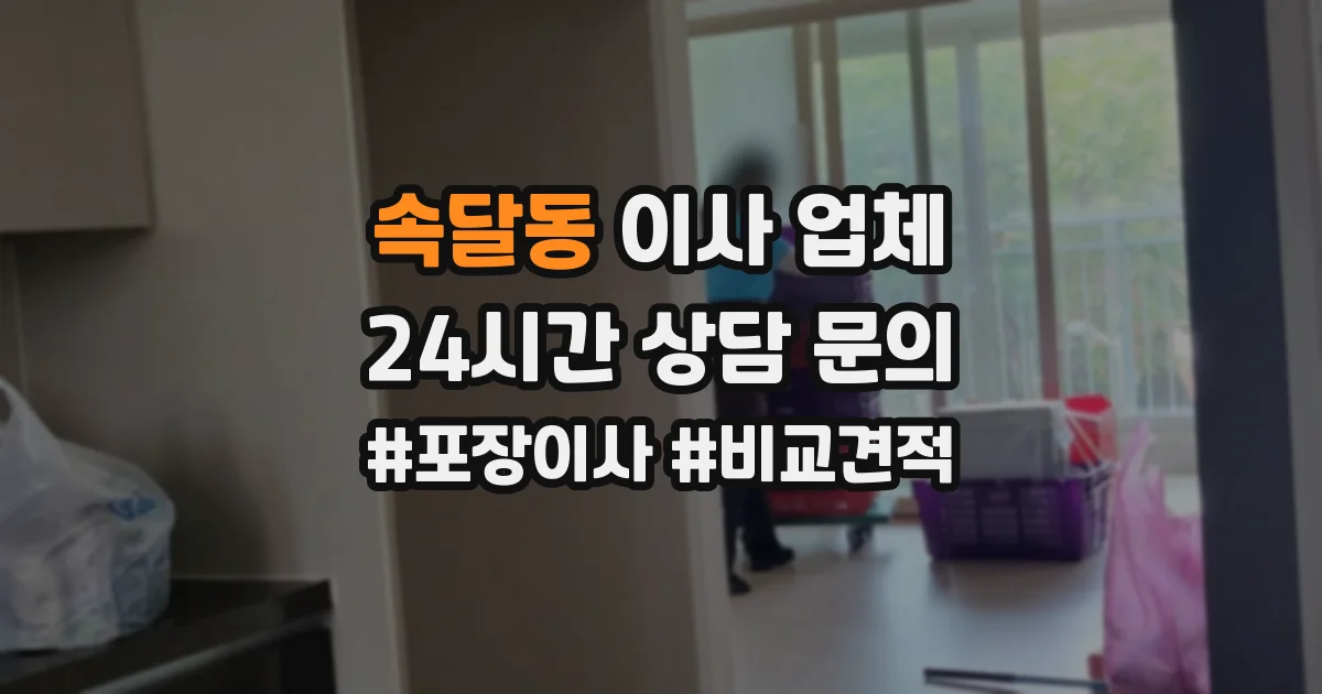 속달동 이사 업체