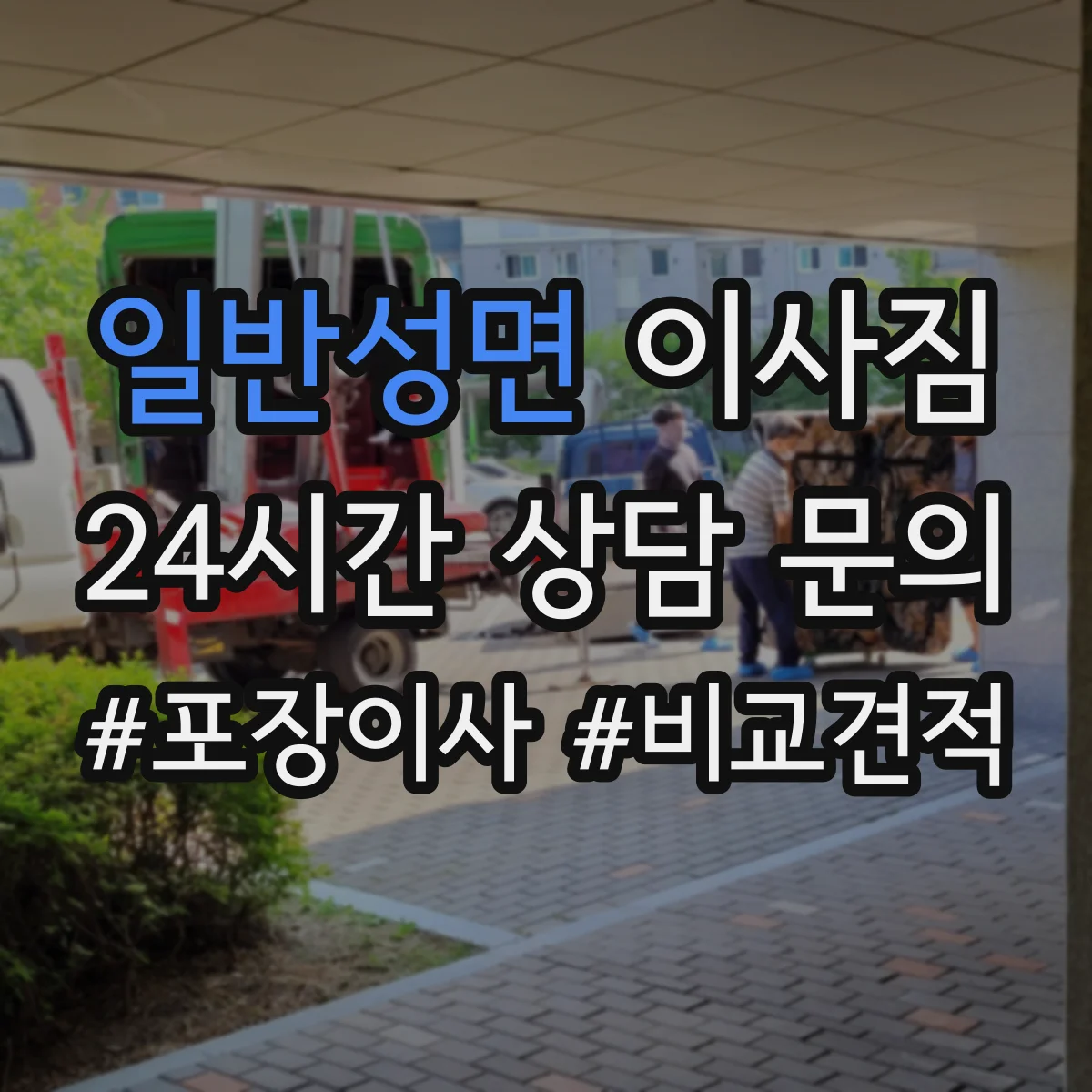 일반성면 이사짐