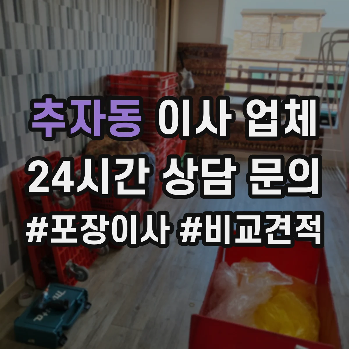 추자동 이사 업체