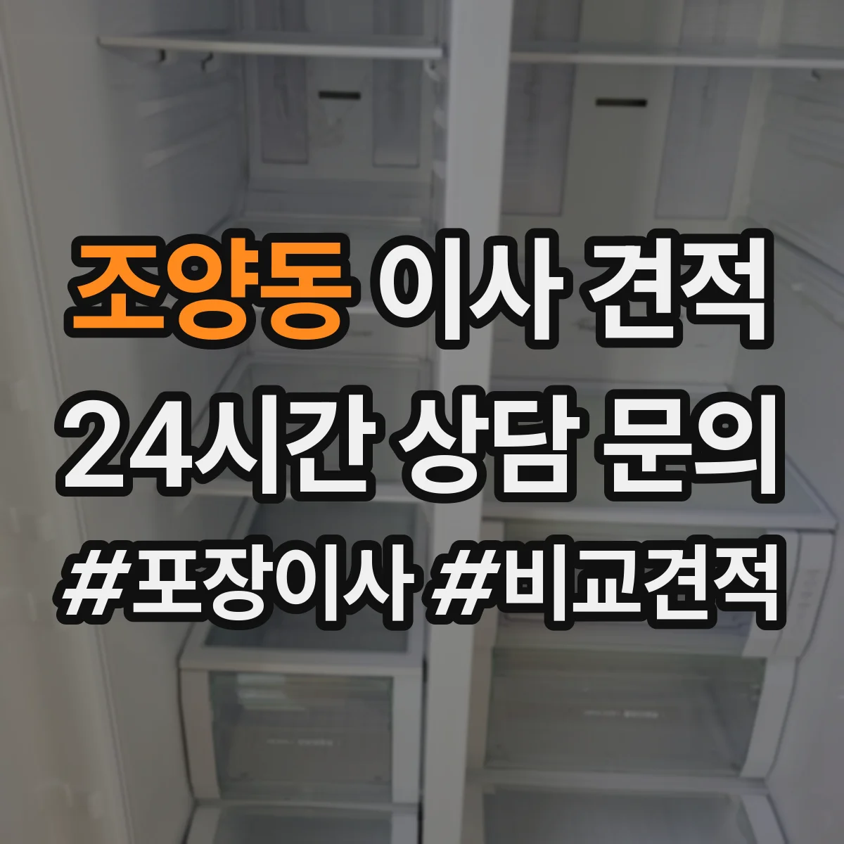 조양동 이사 견적