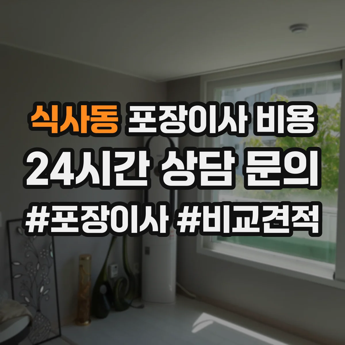 식사동 포장이사 비용