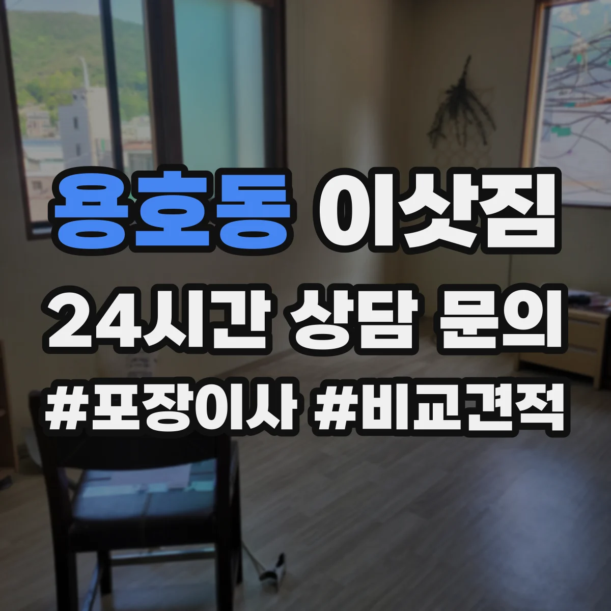 용호동 이삿짐