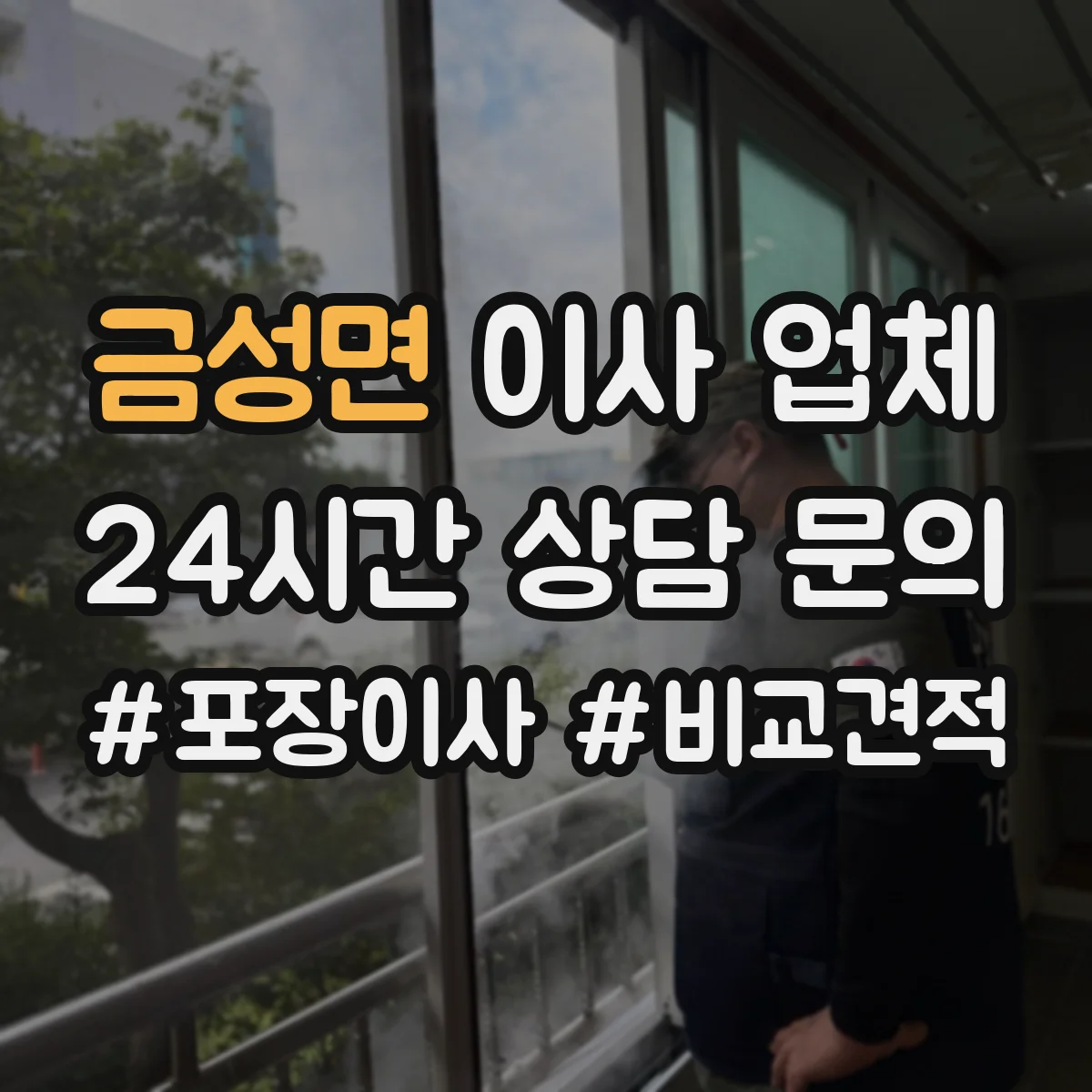 금성면 이사 업체