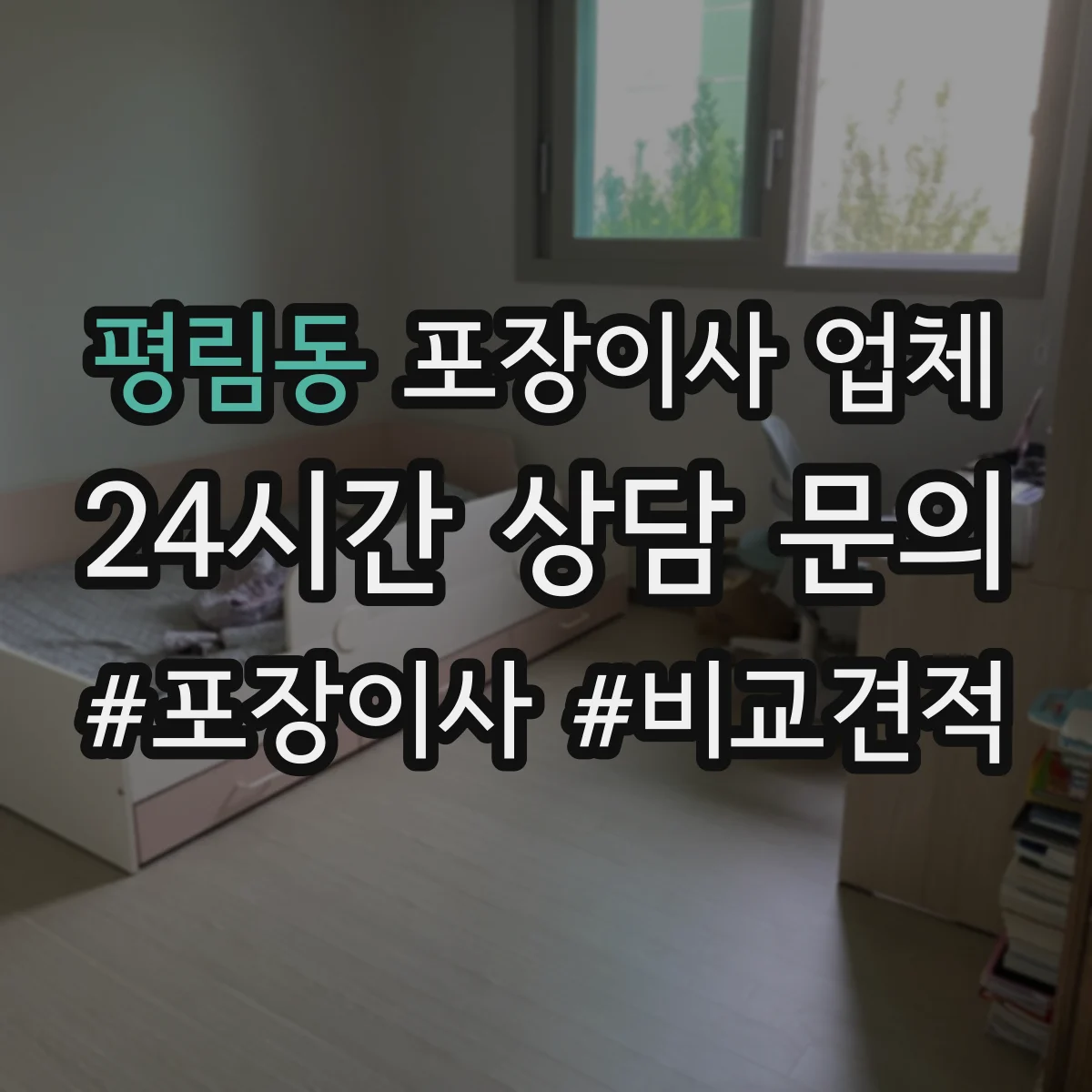 평림동 포장이사 업체
