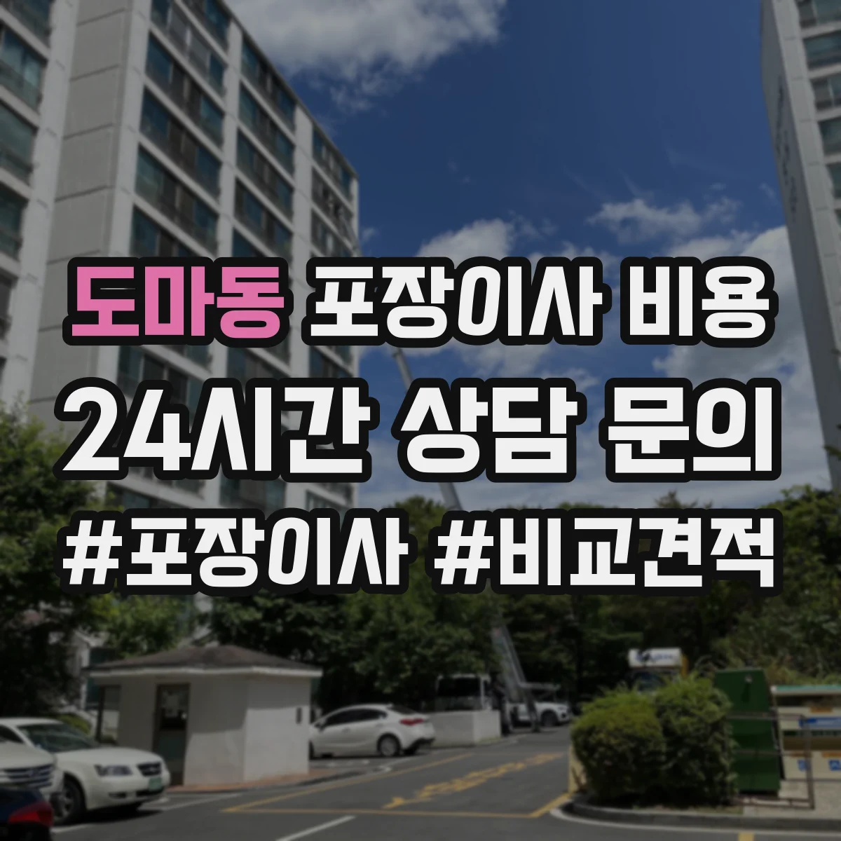 도마동 포장이사 비용