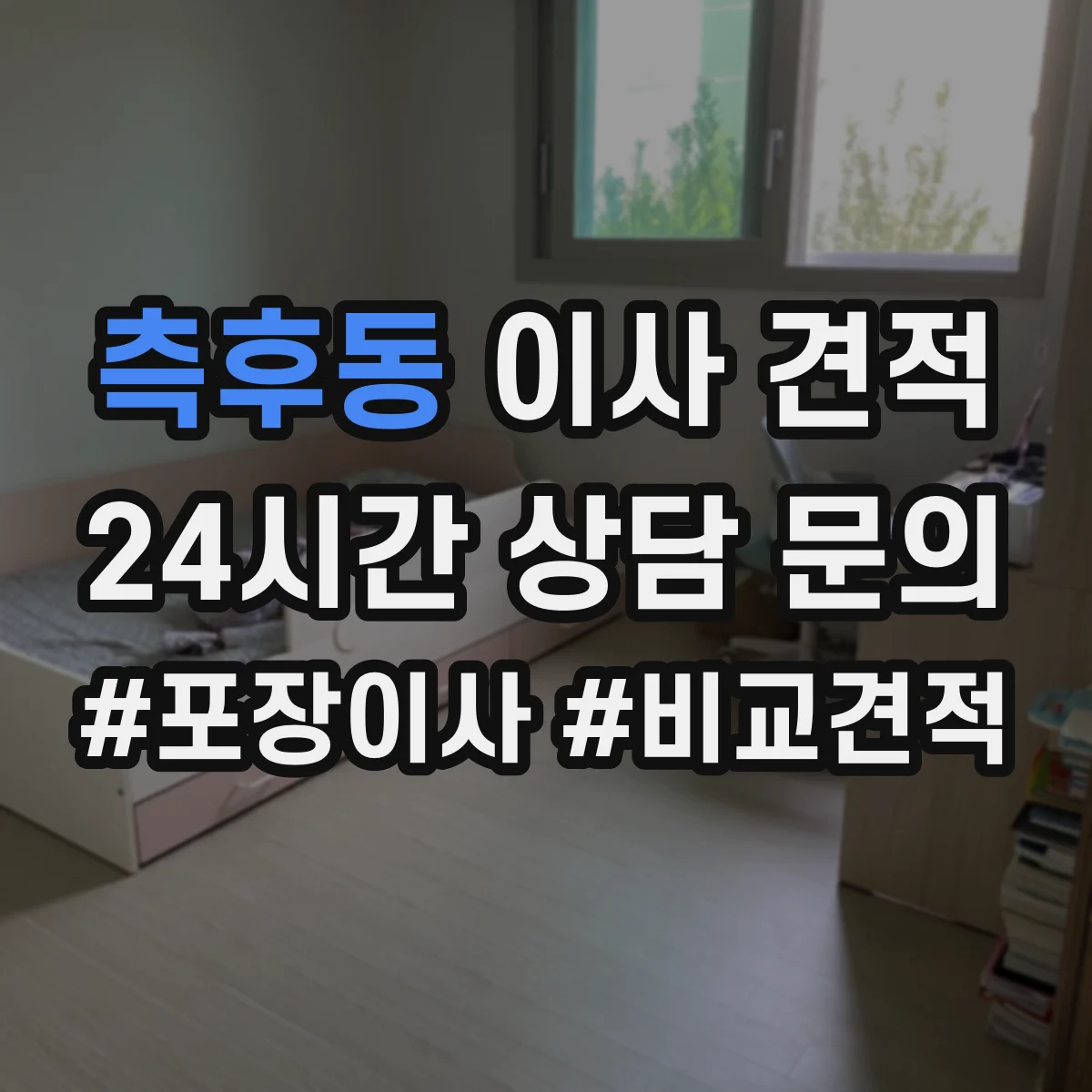 측후동 이사 견적