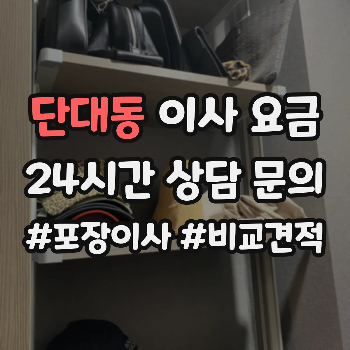 단대동 이사 요금