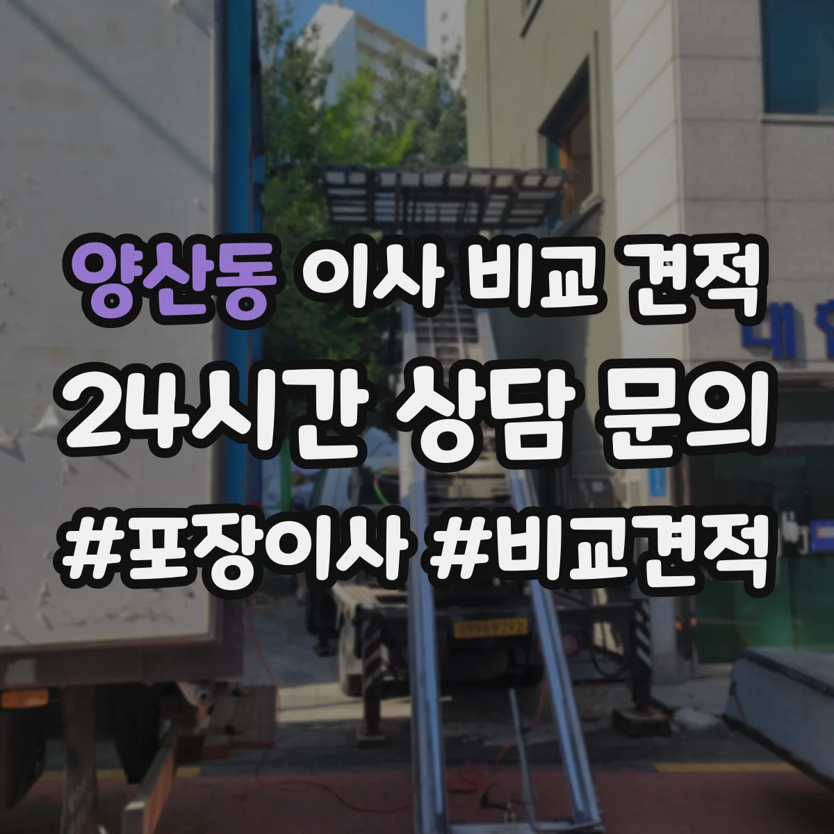 양산동 이사 비교 견적