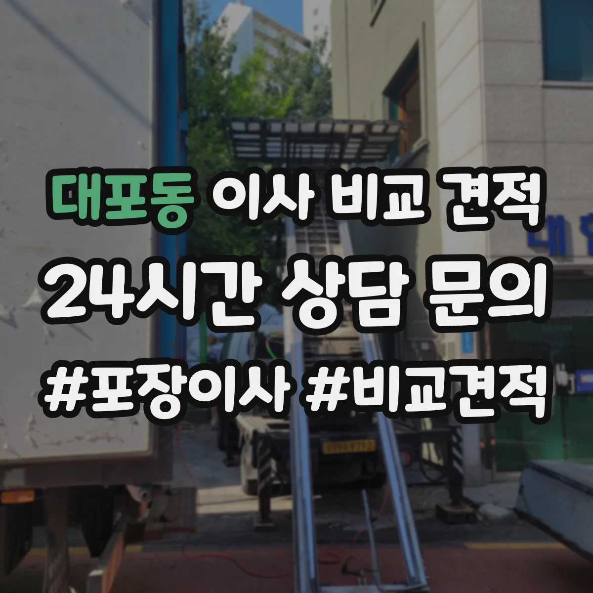 대포동 이사 비교 견적
