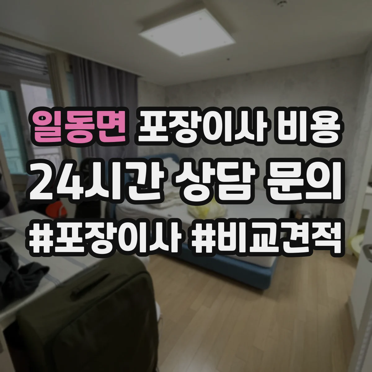 일동면 포장이사 비용