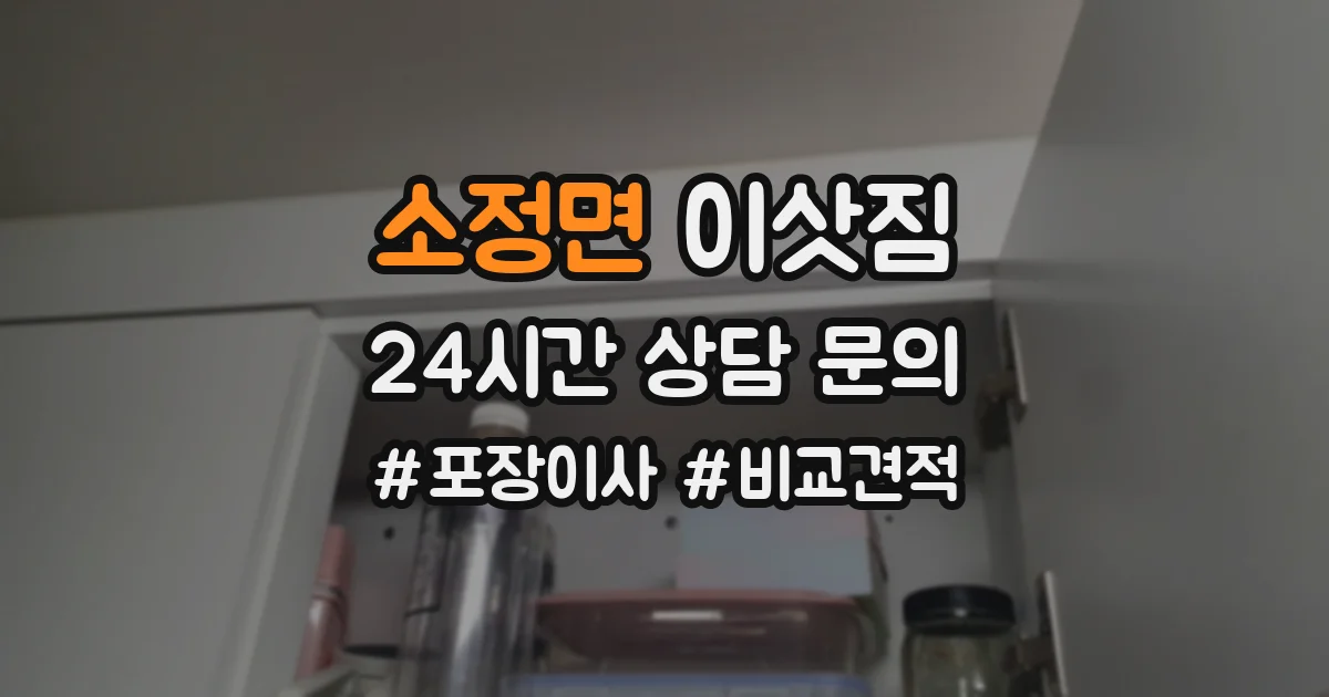 소정면 이삿짐