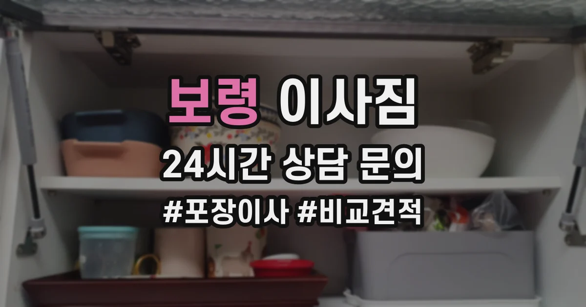 보령 이사짐