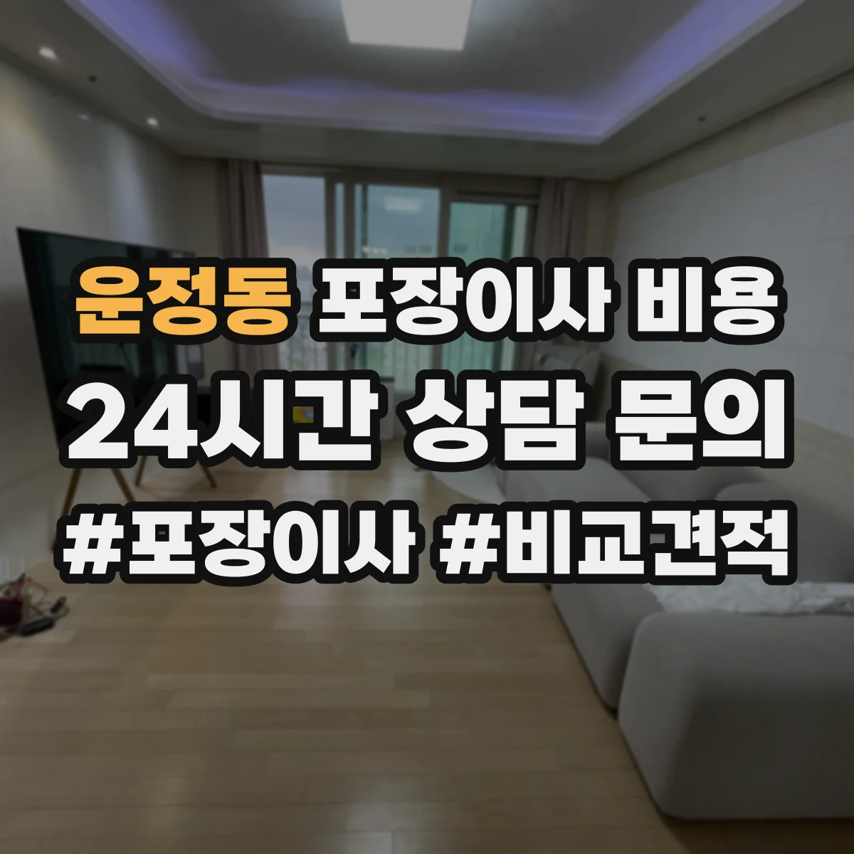 운정동 포장이사 비용