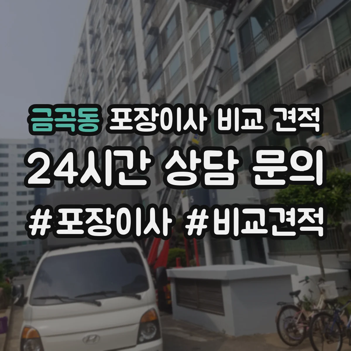 금곡동 포장이사 비교 견적