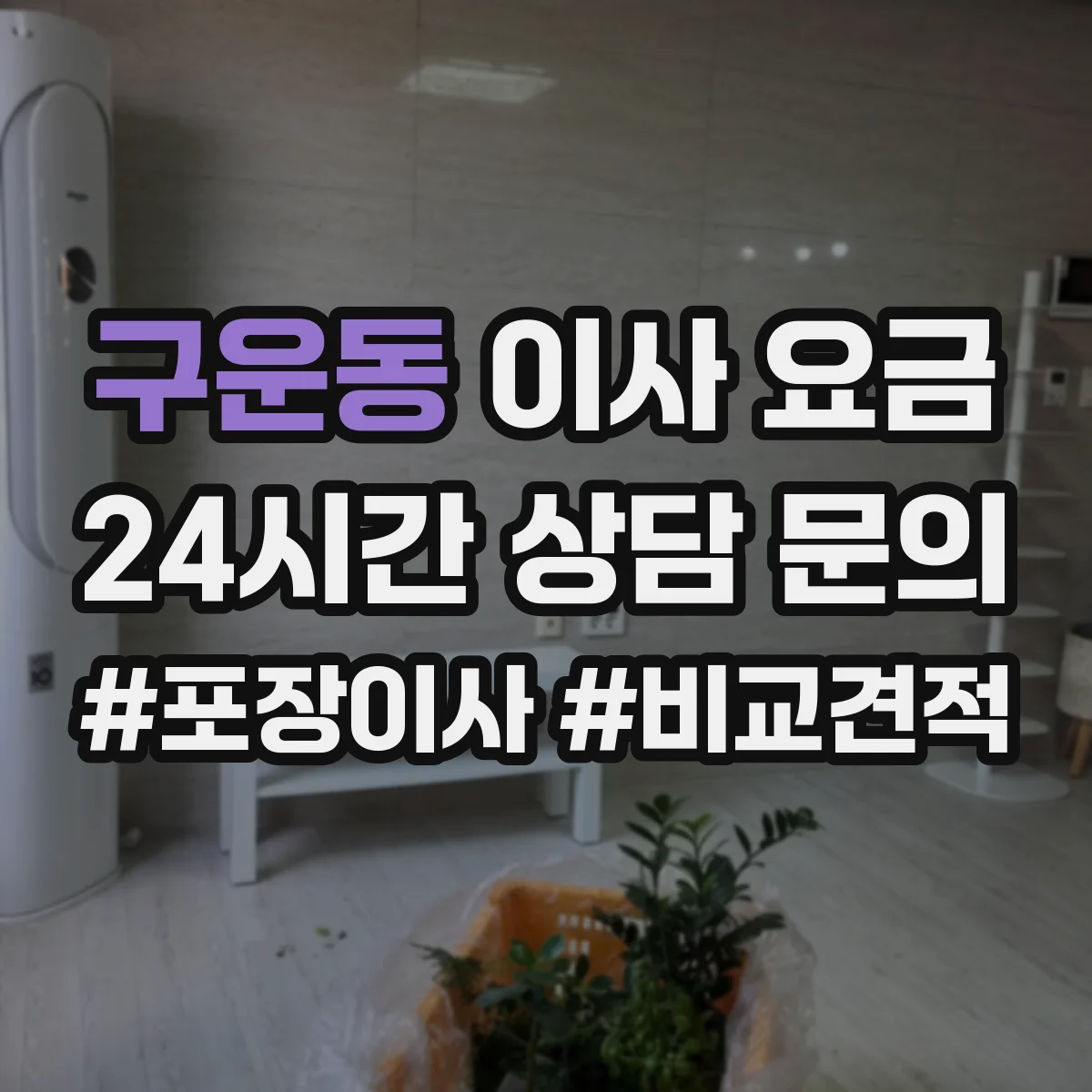 구운동 이사 요금