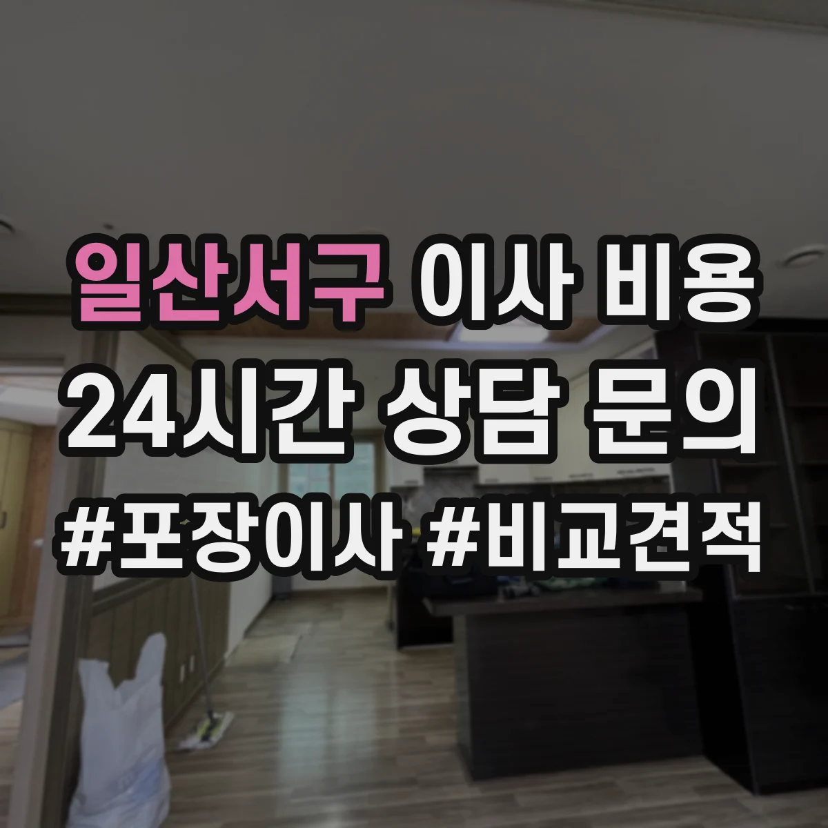 일산서구 이사 비용