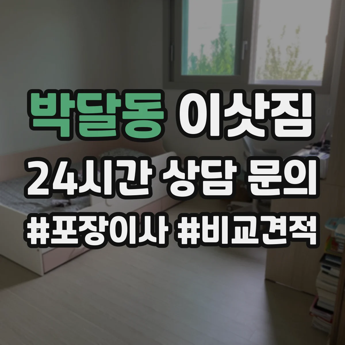 박달동 이삿짐
