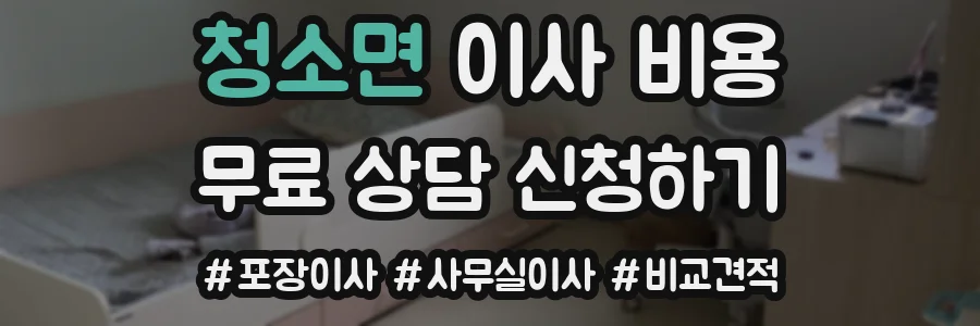 청소면 이사 비용