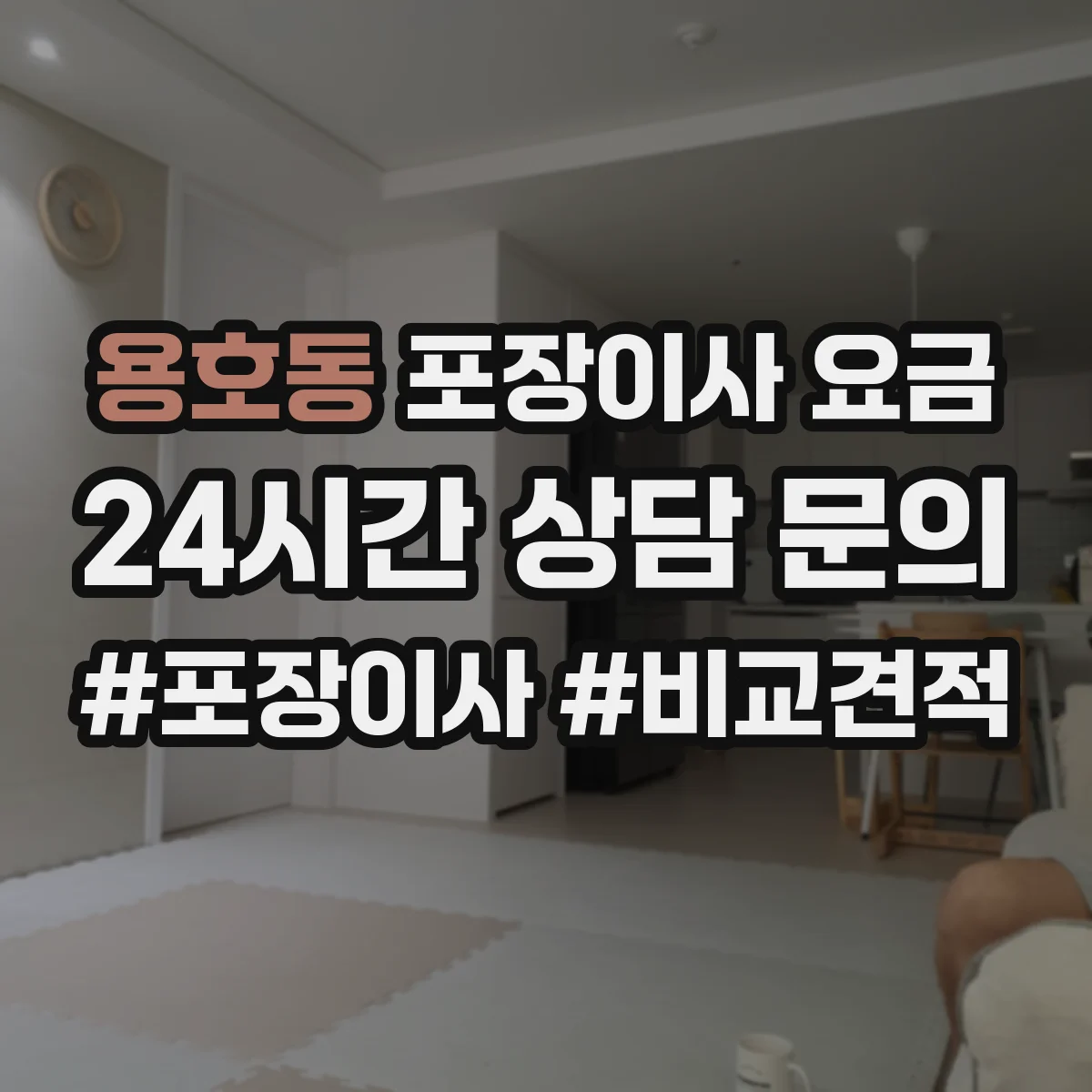 용호동 포장이사 요금