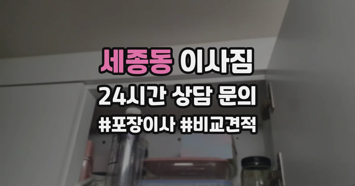 세종동 이사짐