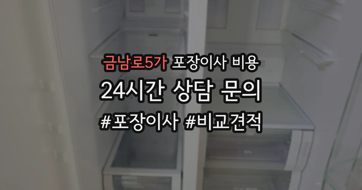 금남로5가 포장이사 비용