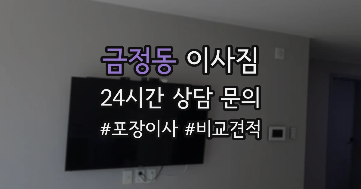 금정동 이사짐