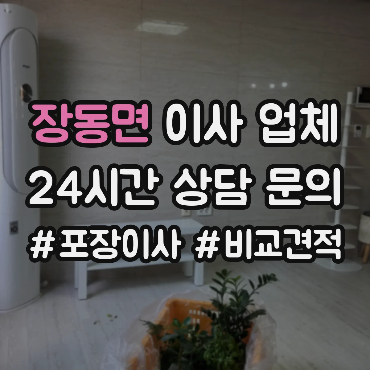 장동면 이사 업체