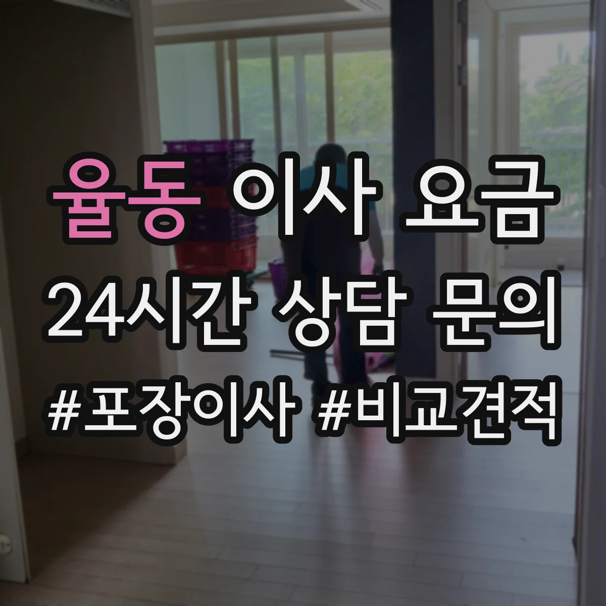율동 이사 요금