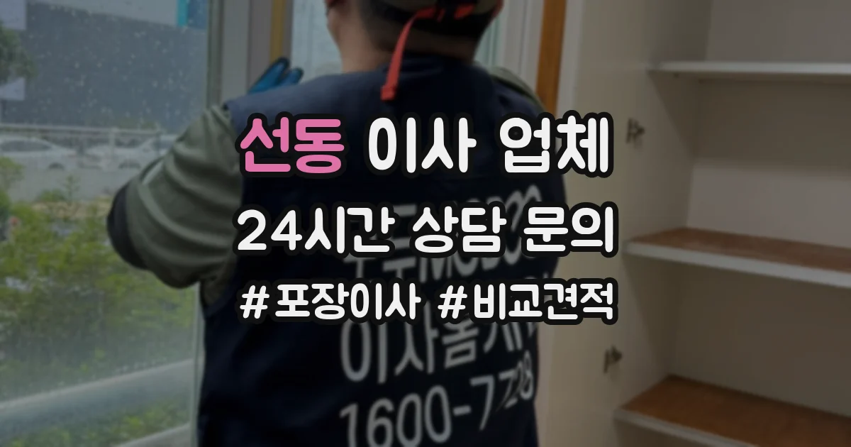 선동 이사 업체