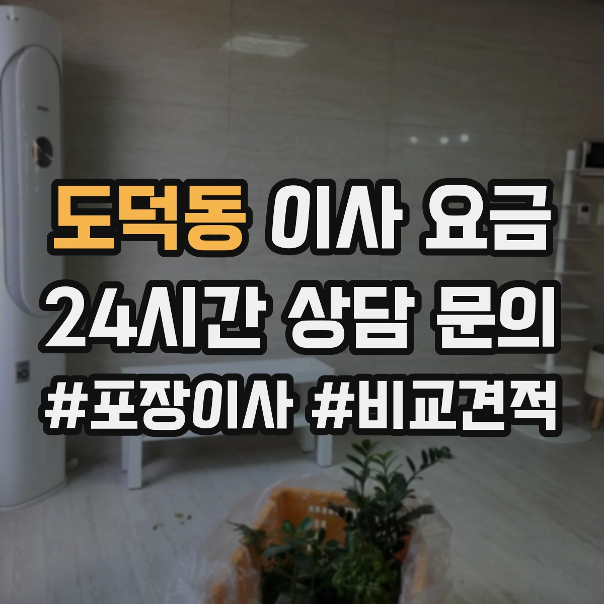 도덕동 이사 요금